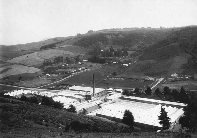 Roslyn Mills from Highgate side of valley c1900