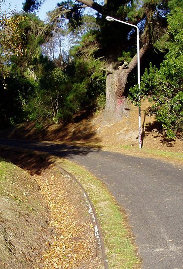 Electric Trams Track 2007