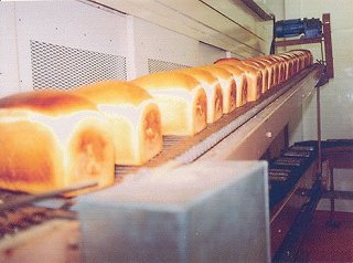 Laurensons bread conveyor system